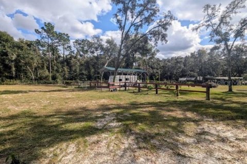 Land in Dunnellon, Florida № 1564528 - photo 3