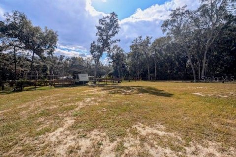 Land in Dunnellon, Florida № 1564528 - photo 17