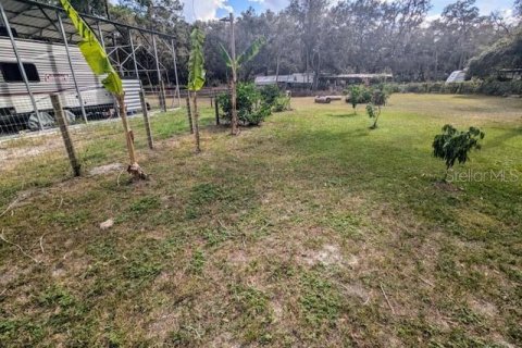 Land in Dunnellon, Florida № 1564528 - photo 9