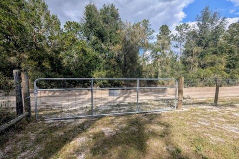 Land in Dunnellon, Florida № 1564528 - photo 16