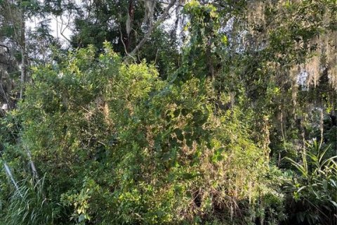 Casa en venta en Lakeland, Florida, 3 dormitorios, 84.54 m2 № 1800221 - foto 11