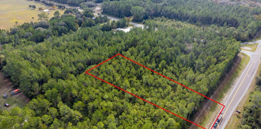 Land in Interlachen, Florida № 838881