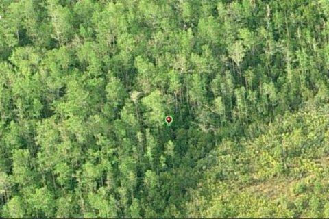 Land in Orlando, Florida № 2161392 - photo 3
