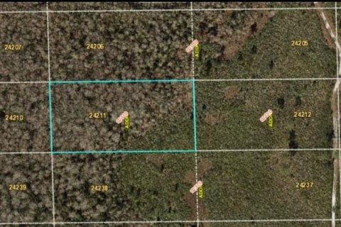 Land in Orlando, Florida № 2161392 - photo 2