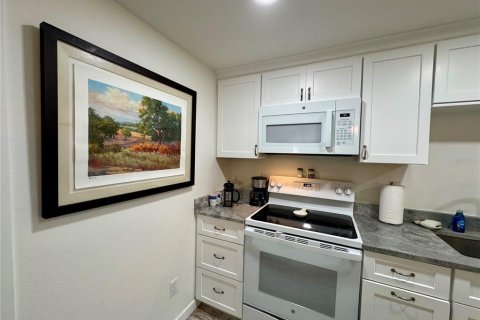 Apartment in Mount Dora, Florida 1 bedroom, 41.81 sq.m. № 2198986 - photo 9