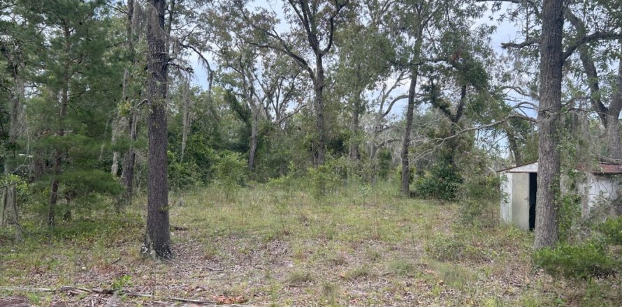 Terreno en Orange Park, Florida № 771948