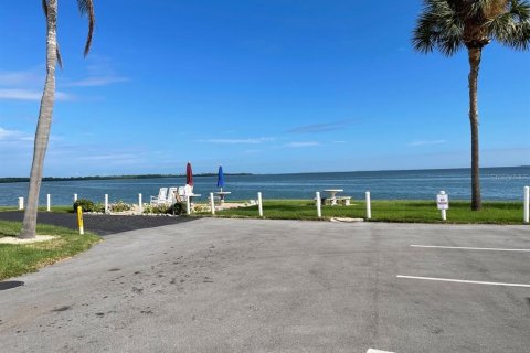 Copropriété à louer à Dunedin, Floride: 1 chambre, 88.91 m2 № 2098206 - photo 30
