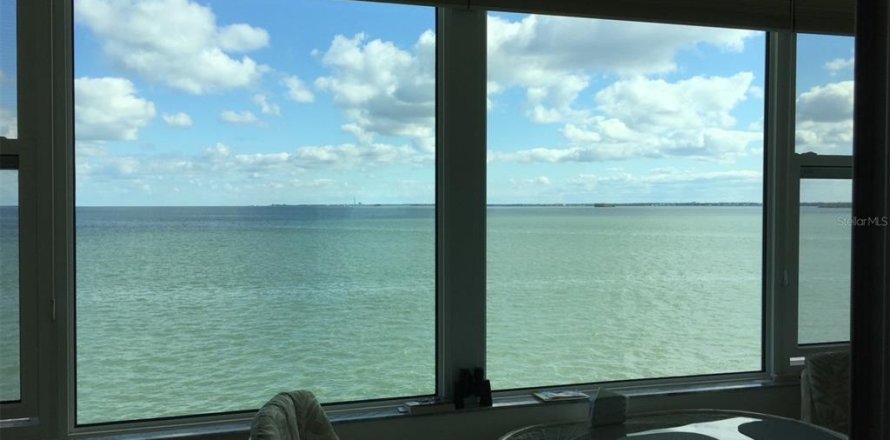 Condo à Dunedin, Floride, 1 chambre № 2098206