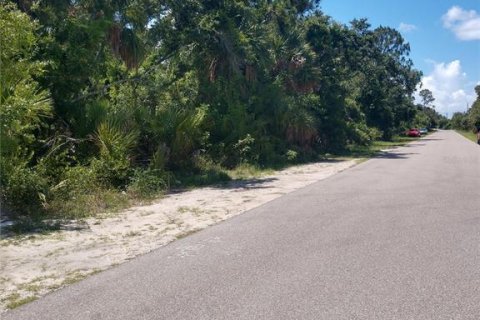 Land in Port Charlotte, Florida № 1542185 - photo 3