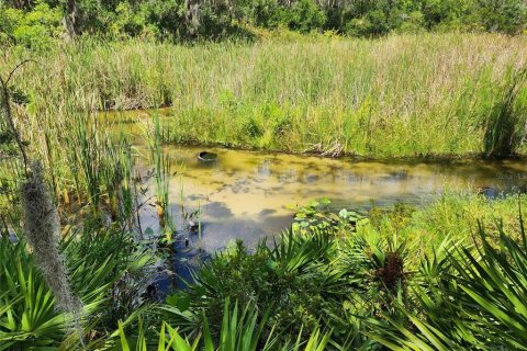 Land in Frostproof, Florida № 2347961