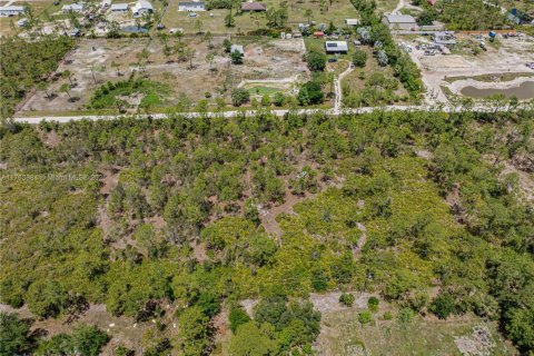 Commercial property in Punta Gorda, Florida № 1938398 - photo 10