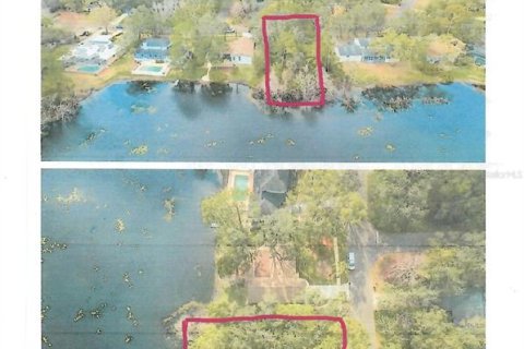 Terrain à Lake Mary, Floride № 2125928