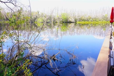 Condo in Lutz, Florida, 1 bedroom  № 2143343 - photo 29
