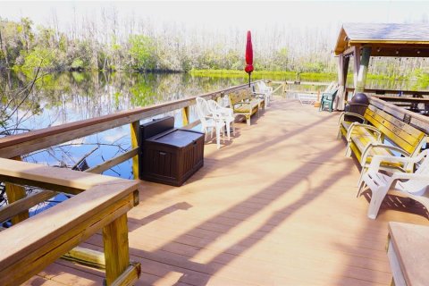 Condo in Lutz, Florida, 1 bedroom  № 2143343 - photo 28
