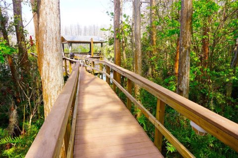 Condo in Lutz, Florida, 1 bedroom  № 2143343 - photo 27
