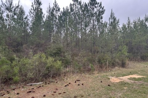 Land in Vernon, Florida № 559955 - photo 1