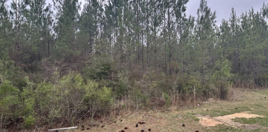 Land in Vernon, Florida № 559955