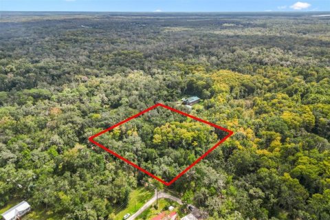 Land in Webster, Florida № 2360468