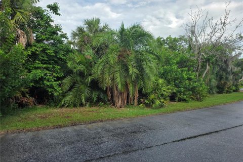 Terreno en venta en Osprey, Florida № 2217941 - foto 6