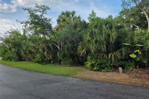 Terreno en venta en Osprey, Florida № 2217941 - foto 5