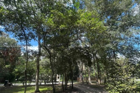 Снять в аренду виллу или дом в Гейнсвилл, Флорида 3 спальни, № 1963598 - фото 2