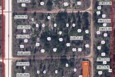 Land in Interlachen, Florida № 2165291 - photo 2