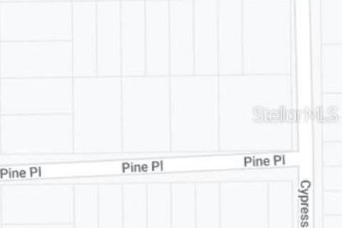 Land in Interlachen, Florida № 2165291 - photo 3