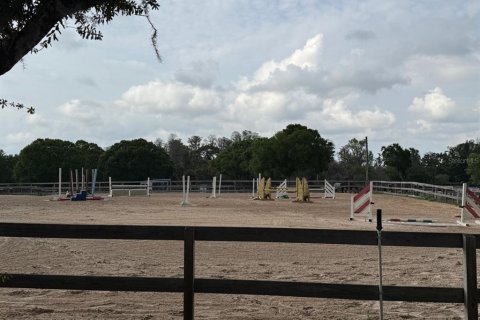 Land in Odessa, Florida № 1722967 - photo 29