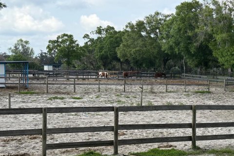 Land in Odessa, Florida № 1722967 - photo 4