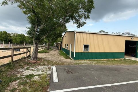 Land in Odessa, Florida № 1722967 - photo 7