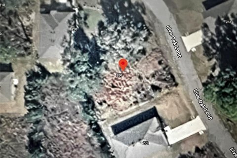 Land in Crescent City, Florida № 2164713 - photo 4
