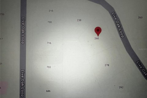 Land in Crescent City, Florida № 2164713 - photo 13