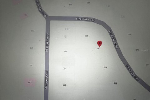 Land in Crescent City, Florida № 2164713 - photo 11