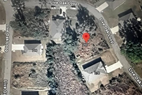 Land in Crescent City, Florida № 2164713 - photo 17