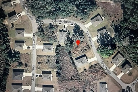 Land in Crescent City, Florida № 2164713 - photo 15