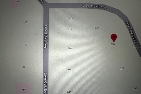 Land in Crescent City, Florida № 2164713 - photo 18