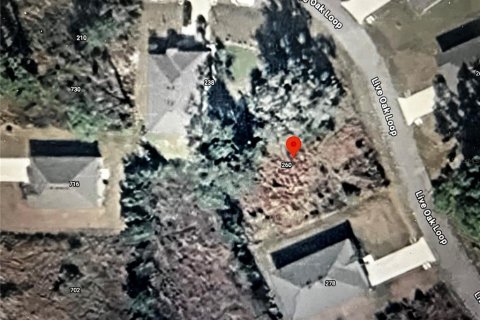 Land in Crescent City, Florida № 2164713 - photo 3