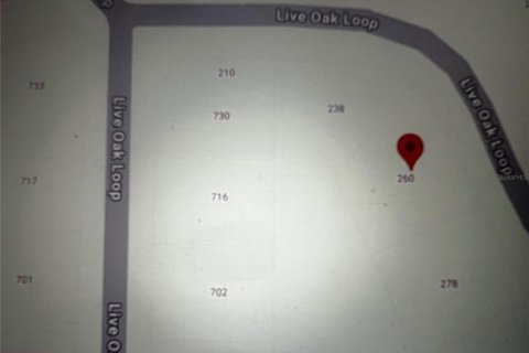 Land in Crescent City, Florida № 2164713 - photo 12