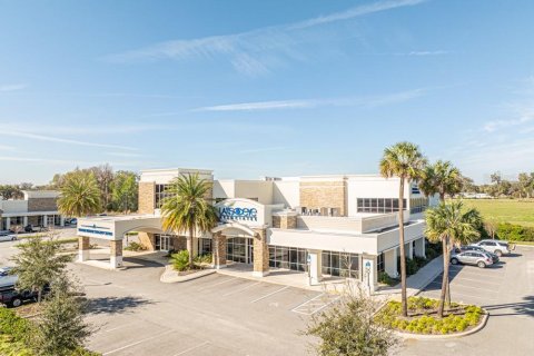 Immobilier commercial à louer à Wildwood, Floride: 2117.99 m2 № 1546333 - photo 1