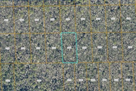 Land in DeLand, Florida № 2370844