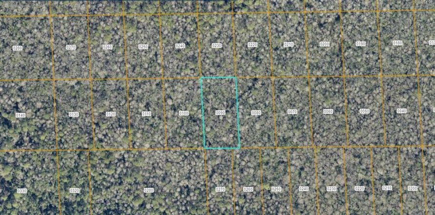 Land in DeLand, Florida № 2370844
