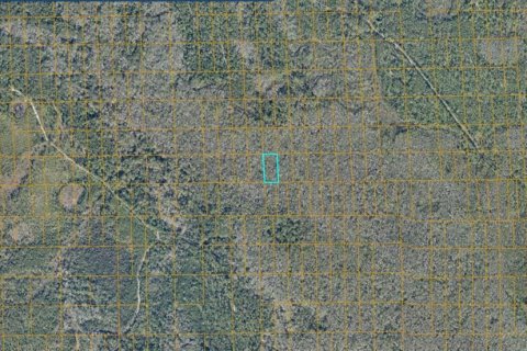 Land in DeLand, Florida № 2370844 - photo 2