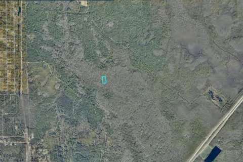 Land in DeLand, Florida № 2370844 - photo 3