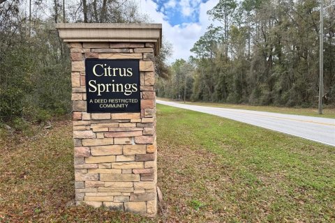 Villa ou maison à vendre à Citrus Springs, Floride: 3 chambres, 144.65 m2 № 1902262 - photo 24