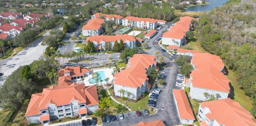 Condo in Tampa, Florida, 2 bedrooms  № 1724260