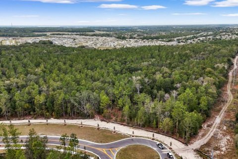 Terreno en Mount Dora, Florida № 2109223