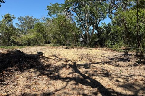 Terreno en venta en Howey-in-the-Hills, Florida № 1722520 - foto 12