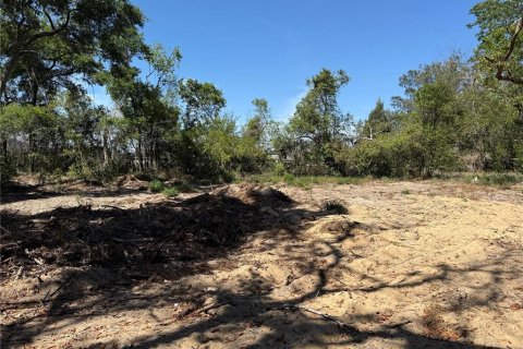 Terreno en venta en Howey-in-the-Hills, Florida № 1722520 - foto 13
