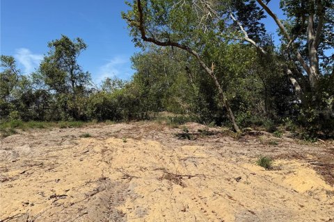 Terreno en venta en Howey-in-the-Hills, Florida № 1722520 - foto 15
