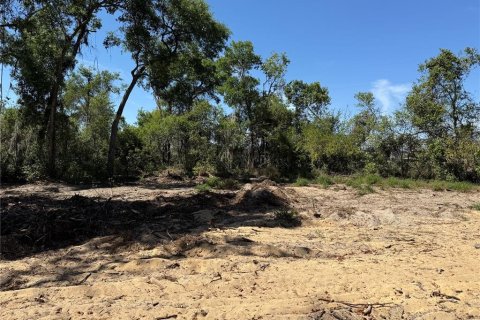 Terreno en venta en Howey-in-the-Hills, Florida № 1722520 - foto 14